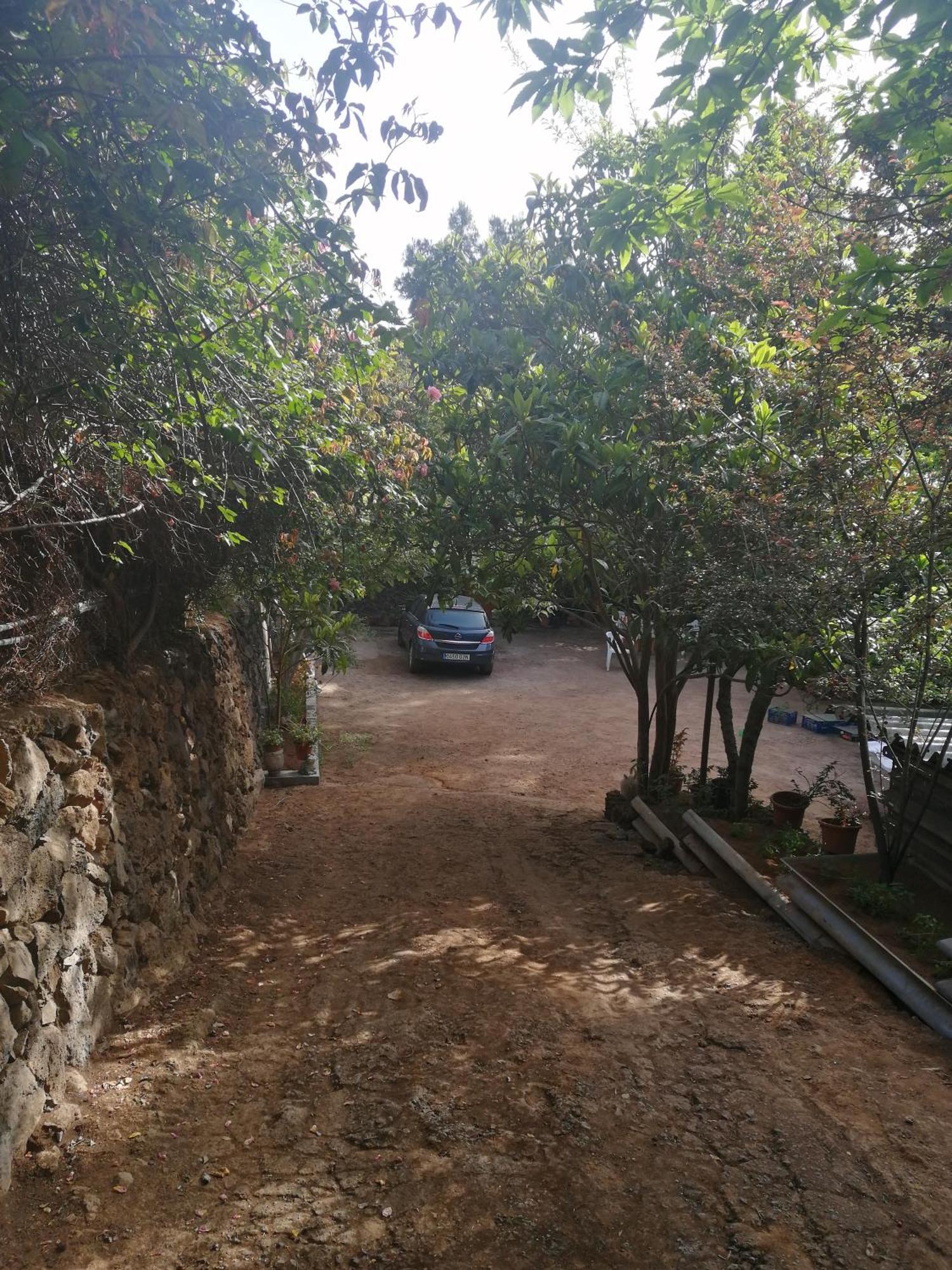 Casa Ecologica, Autosuficiente En Lomo Blanco, Dentro De Una Casa Rodeada De Naturaleza San Juan de la Rambla Ngoại thất bức ảnh