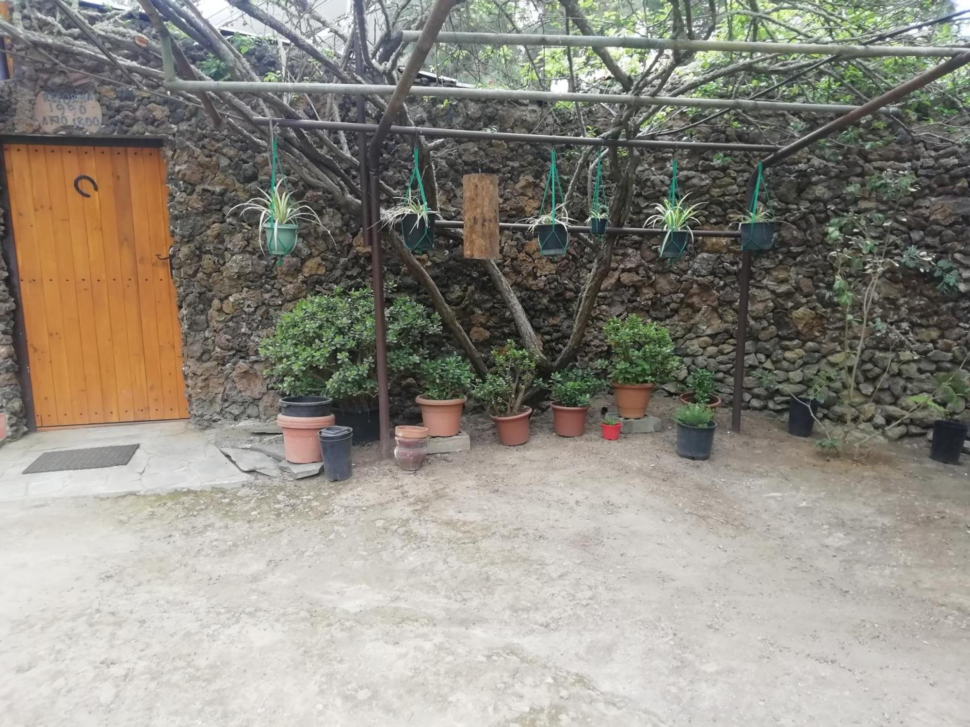 Casa Ecologica, Autosuficiente En Lomo Blanco, Dentro De Una Casa Rodeada De Naturaleza San Juan de la Rambla Ngoại thất bức ảnh