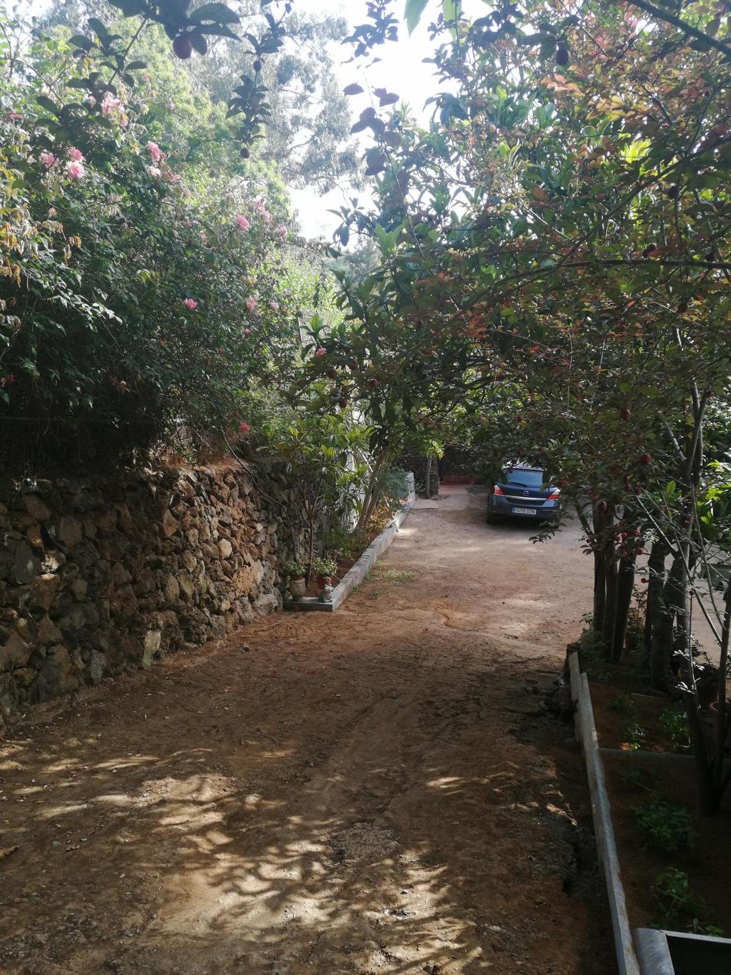 Casa Ecologica, Autosuficiente En Lomo Blanco, Dentro De Una Casa Rodeada De Naturaleza San Juan de la Rambla Ngoại thất bức ảnh
